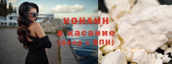 трава Белокуриха