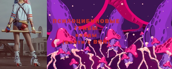 сатива Белоозёрский